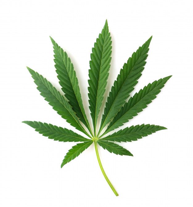 88055b468b1e1b8800af228bf7a3d1e4