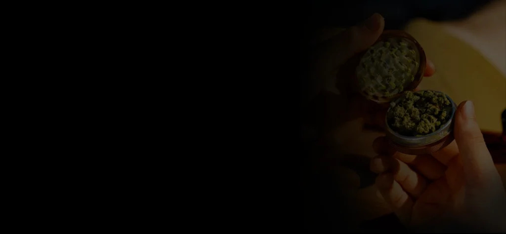 Buy Weed Online Canada 1 1024x474 1