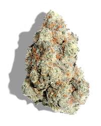 Boss Cake strain for sale