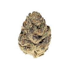 Drip Station strain for sale