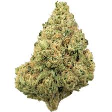 Grease Bucket strain for sale