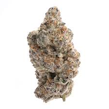 Hippie Crasher strain for sale