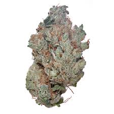 Lemon Meringue strain for sale