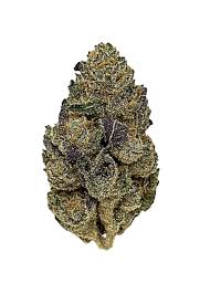 Mochi Runtz strain for sale