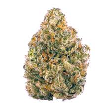 Obama Runtz strain for sale