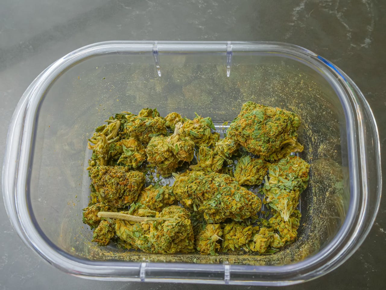 Clear plastic container filled with dried cannabis buds from above, emphasizing texture and color.