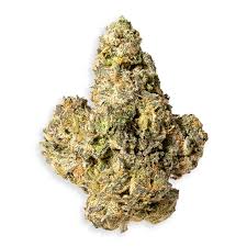 Purple Churro strain for sale – dense purple buds