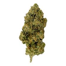 Stank Breath strain for sale