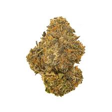 Vice City strain for sale