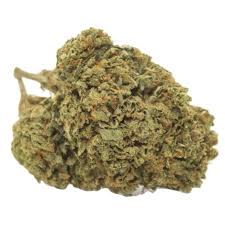 White Guava strain for sale